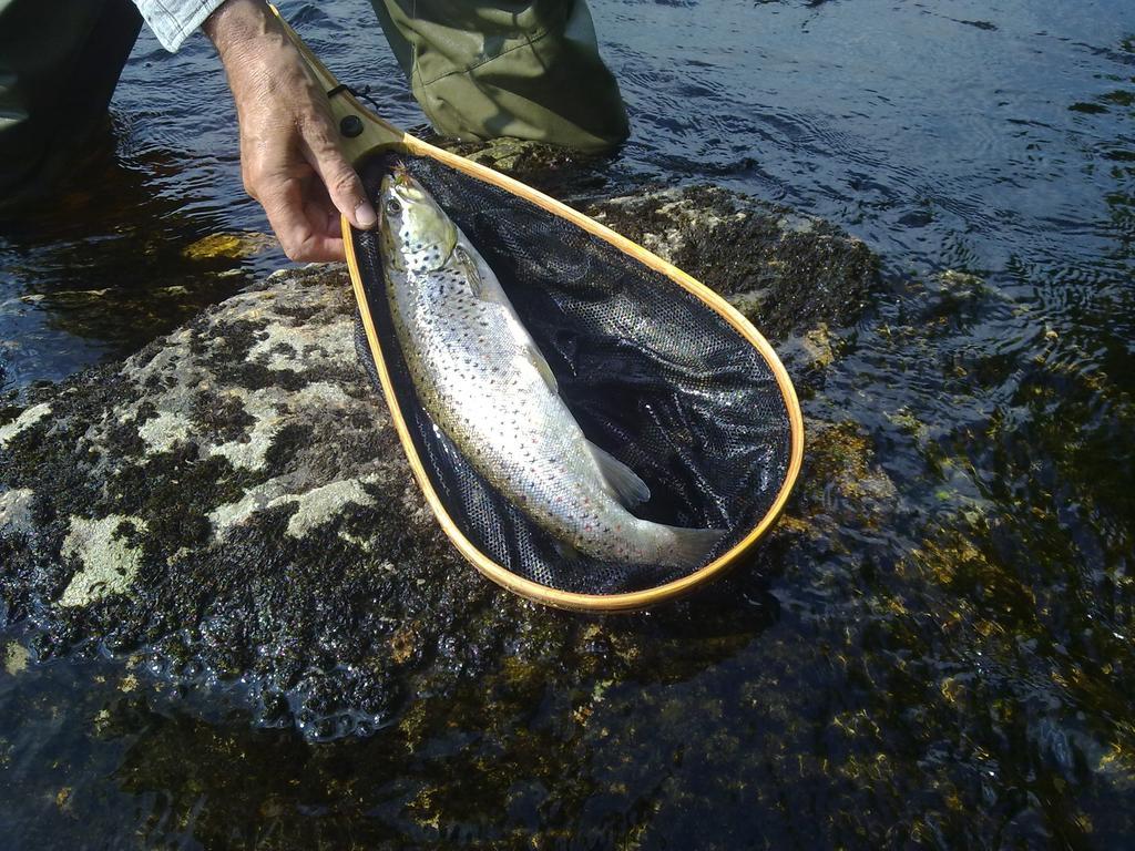 Hotelli Kainuu Kuhmo Buitenkant foto